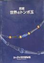 館蔵世界のトンボ玉