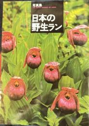 写真集　日本の野生ラン
