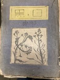 白と黒　第36号