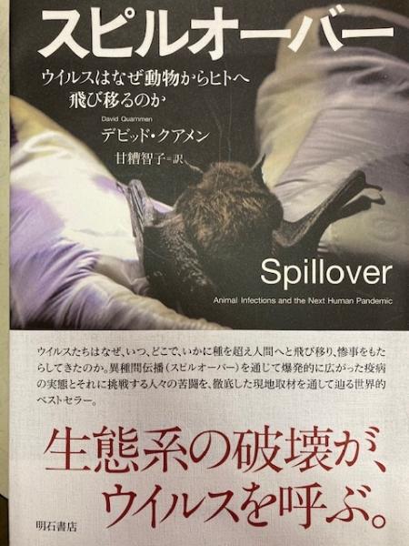 すばらしい数学者たち 新潮文庫(矢野健太郎) / 閑古堂 / 古本