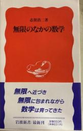 無限のなかの数学　岩波新書