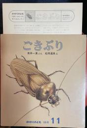 ごきぶり　かがくのとも　1984年11月号