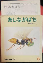 あしながばち ＜かがくのとも 75号＞