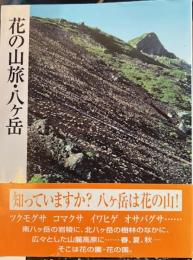 花の山旅・八ヶ岳