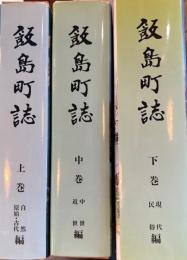 飯島町誌　上中下（長野県上伊那郡）