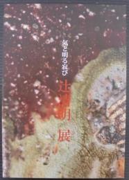 気と明る寂び　辻清明展