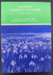 小提西池のカキツバタ群落　むかし・いま
