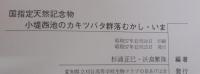 小提西池のカキツバタ群落　むかし・いま