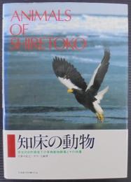 知床の動物 : 原生的自然環境下の脊椎動物群集とその保護