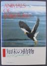 知床の動物 : 原生的自然環境下の脊椎動物群集とその保護