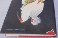 この鳥を守ろう : それが人の生命をまもる