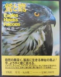 鷲と鷹