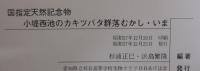 国指定天然記念物小堤西池のカキツバタ群落むかし・いま