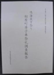 名古屋の山車行事総合調査　関連資料集4　鳴海表方祭り相原町唐子車祭礼調査報告