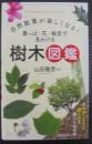 自然散策が楽しくなる！葉っぱ・花・樹皮で見わける樹木図鑑