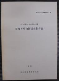 小幡古墳発掘調査報告書