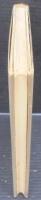終身未決囚