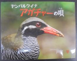 ヤンバルクイナ・アガチャーの唄