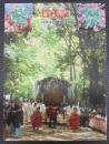 葵祭(賀茂祭)