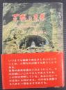 百歳の青春 : 不老長生を求めて