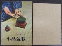 小品盆栽