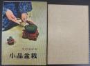 小品盆栽