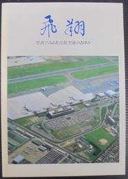 飛翔 : 写真でみる名古屋空港のあゆみ