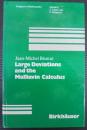 Large Deviations and the Malliavin Calculus