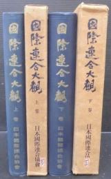 国際連合大観