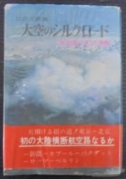 大空のシルクロード : ゴビ砂漠に消えた青春