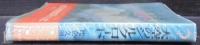 大空のシルクロード : ゴビ砂漠に消えた青春