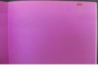 シャーロット・ランプリング : 子鹿の肢体をもつ運命の女