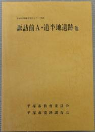 諏訪前A・道半地遺跡 : 他