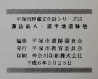 諏訪前A・道半地遺跡 : 他