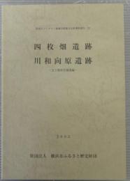 四枚畑遺跡・川和向原遺跡(先土器時代補遺編)