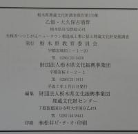 乙畑・大久保古墳群 : 栃木県住宅供給公社　矢板市つつじが丘ニュータウン粗造成工事に係る埋蔵文化財発掘調査