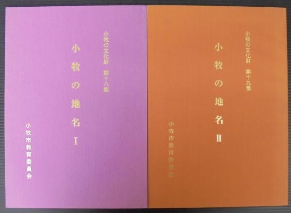 Amazon.co.jp: 宋代塩業史の基礎研究 : 河上 光一: Japanese Books