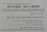 細谷南遺跡・細谷八幡遺跡