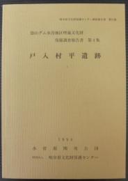 徳山ダム水没地区埋蔵文化財発掘調査報告書