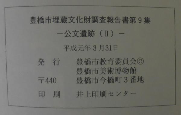 公式 向北原南遺跡II 栃木県埋蔵文化財調査報告書第170集 人文
