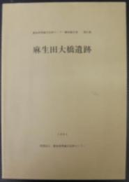 麻生田大橋遺跡