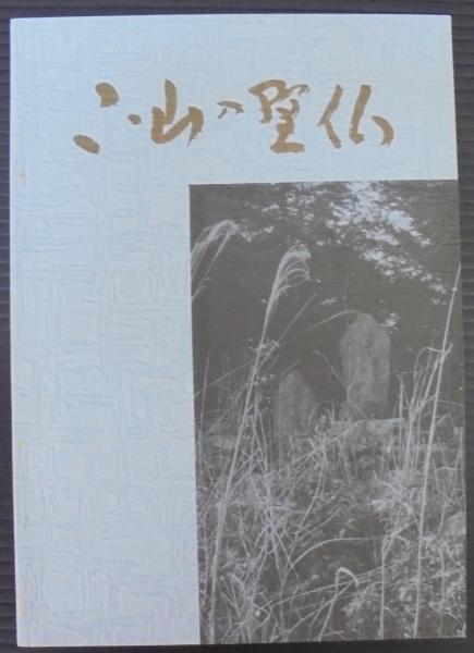 初心者のためのソフトボール/恒文社/鈴木征