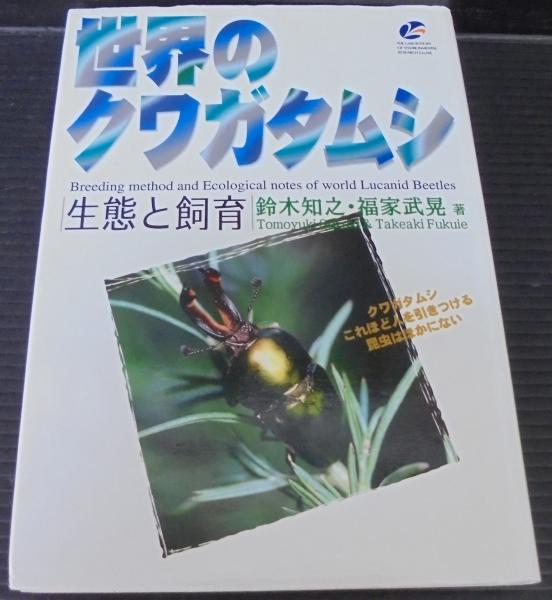 くみ 首都高SPL ゼロ 1 (ヤングマガジンKCスペシャル) 楠みちはる/著