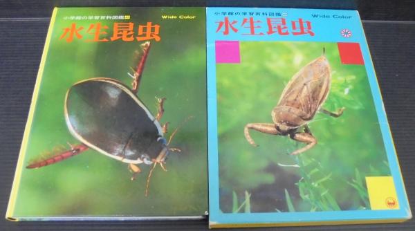 B59-091 小学館の学習百科図鑑28 水べの生物 - 図鑑