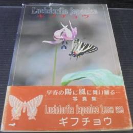 ギフチョウ : Luehdorfia Japonica