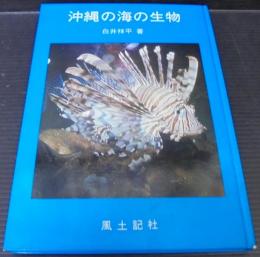 沖縄の海の生物