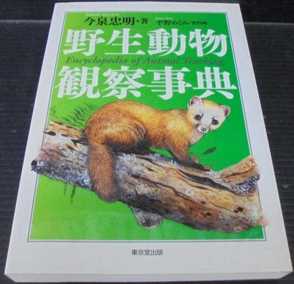 野生動物観察事典 今泉忠明 著 平野めぐみ 資料画 あじさい堂書店 古本 中古本 古書籍の通販は 日本の古本屋 日本の古本屋