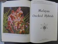 MALAYAN ORCHID HYBRIDS