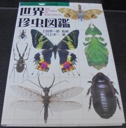 世界珍虫図鑑