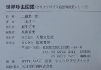 世界珍虫図鑑